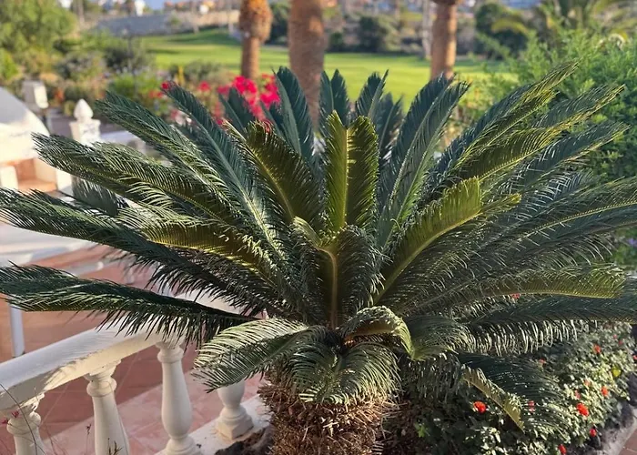 Ocean View Tenerife South Coast *