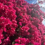 Apartment Ocean View Tenerife South Coast Costa Del Silencio