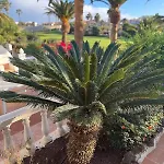 Ocean View Tenerife South Coast *