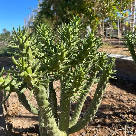 Appartamento Ocean View Tenerife South Coast *