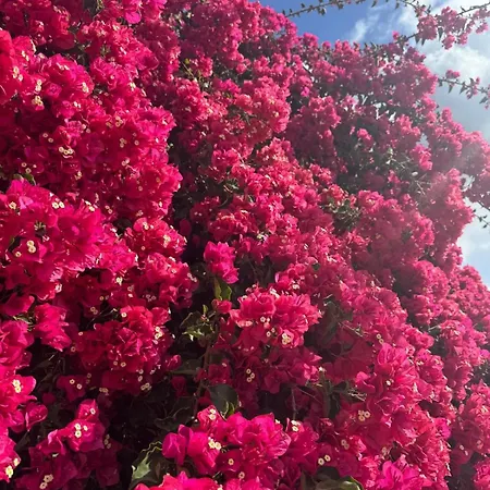 Appartamento Ocean View Tenerife South Coast Costa Del Silencio