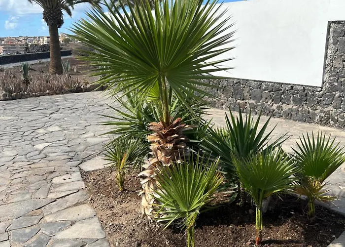 Appartamento Ocean View Tenerife South Coast